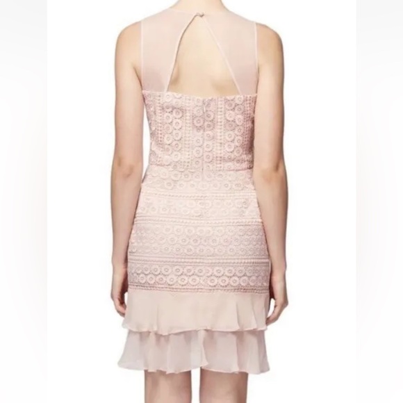 BETSEY JOHNSON Confection Pink Blush Lace Overlay Sheath Dress, Size 6 - Picture 3 of 12